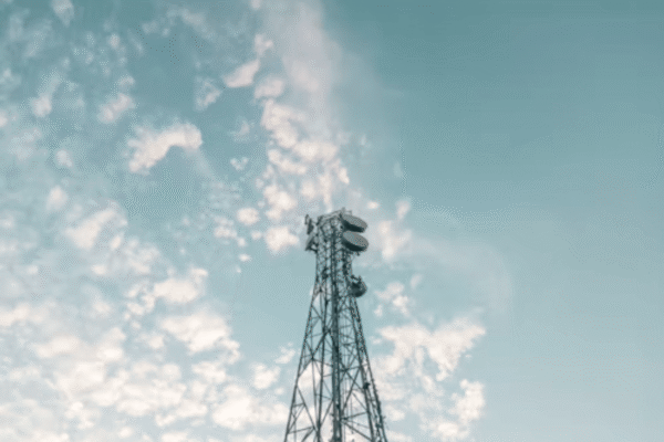 Zimbabwe Removes 75% Local Ownership Rule for Telecommunications Companies
