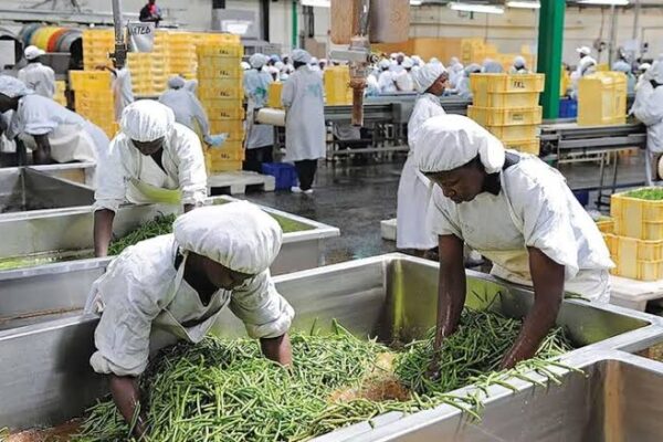 Firms Turn to Technology to Strengthen Nigeria’s Food Sector