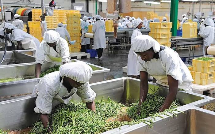 Firms Turn to Technology to Strengthen Nigeria’s Food Sector