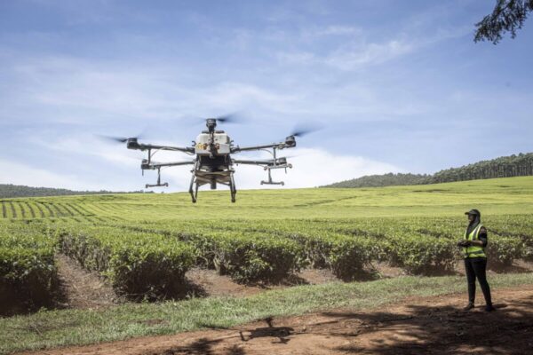Drones Take Flight as Technology Transforms Africa’s Nature Reserves