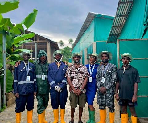 From Livestock Farming to Technology: The Journey of Green Livestock Africa